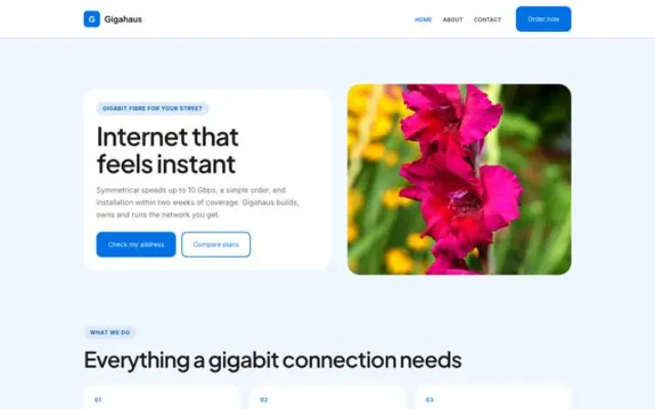 Exemplo do tema Gigahaus para fibra