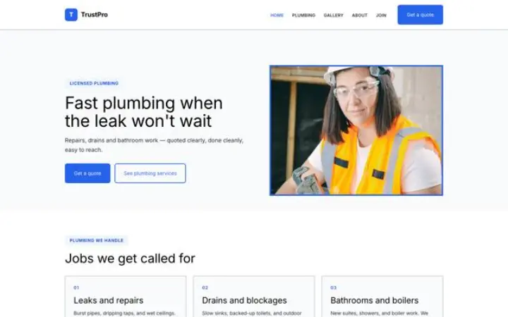 Exemplo do tema TrustPro para canalizações