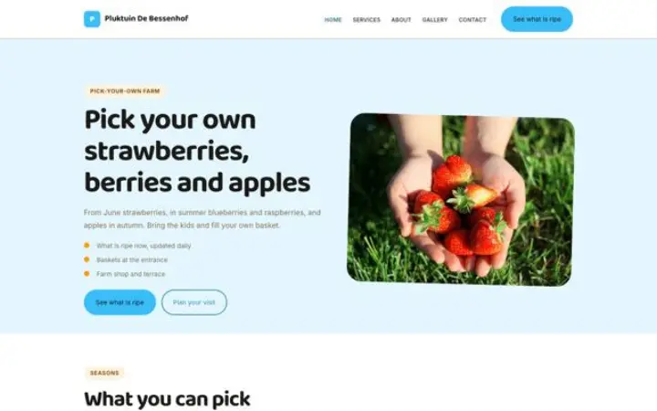 Website para quinta de colheita própria