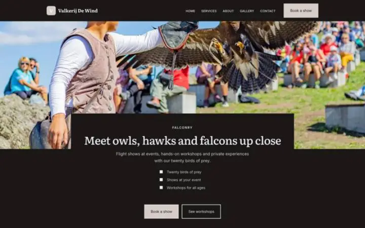 Website para falcoaria