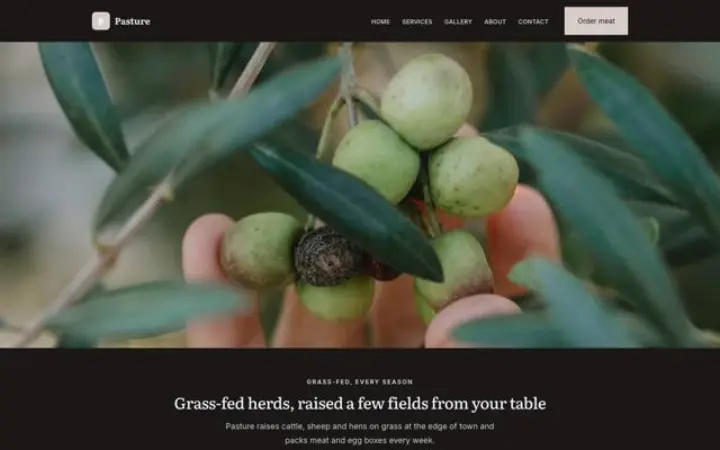 Website para pecuária