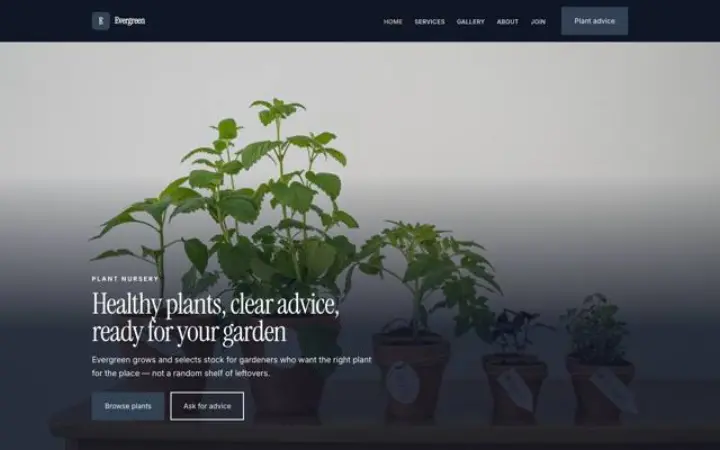 Website para viveiro de plantas